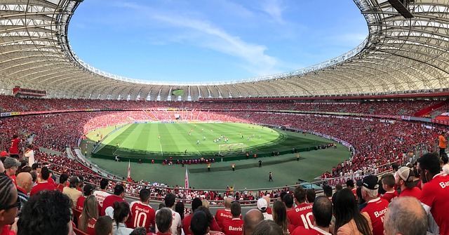 动确保肋